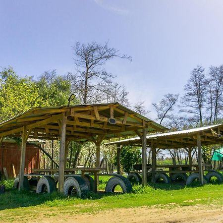 Coyunche Cabanas Y Camping Laja & San Rosendo Luaran gambar