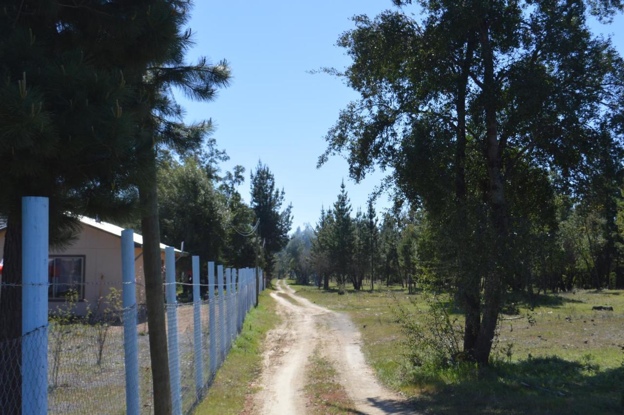 Coyunche Cabanas Y Camping Laja & San Rosendo Luaran gambar