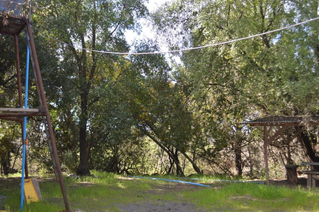 Coyunche Cabanas Y Camping Laja & San Rosendo Luaran gambar
