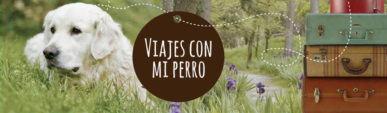 Coyunche Cabanas Y Camping Laja & San Rosendo Luaran gambar